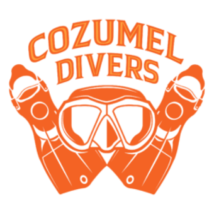 scuba dive in cozumel